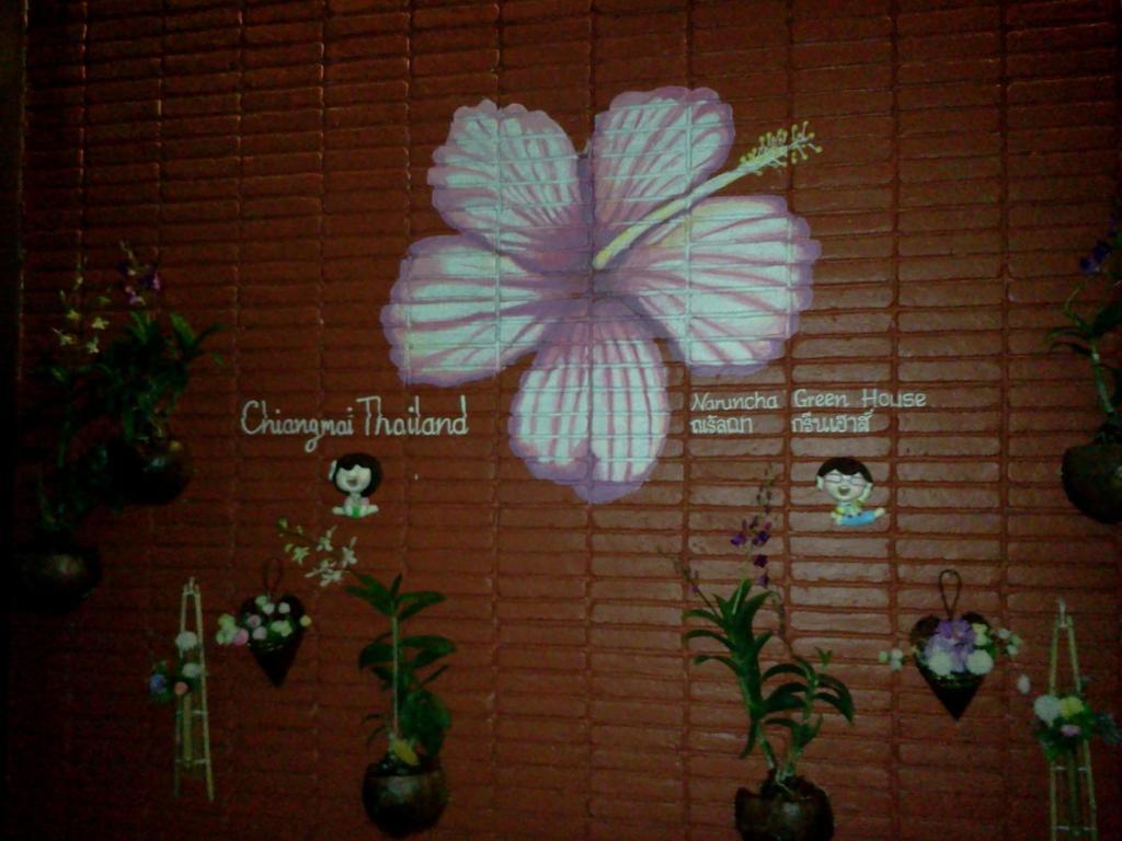 Naruncha Green House Chiang Mai Exterior foto
