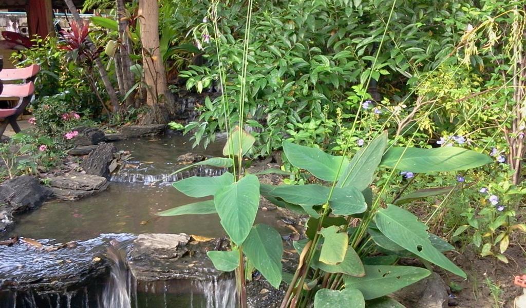 Naruncha Green House Chiang Mai Exterior foto